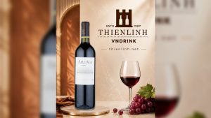 Aruma Malbec 2017 - vang đỏ Mendoza, Argentina, Thiên Linh VNDrink