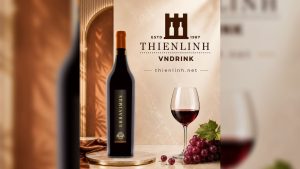 Maison Bouey Erravimus 2019 - vang đỏ Médoc Bordeaux, Pháp, Thiên Linh VNDrink