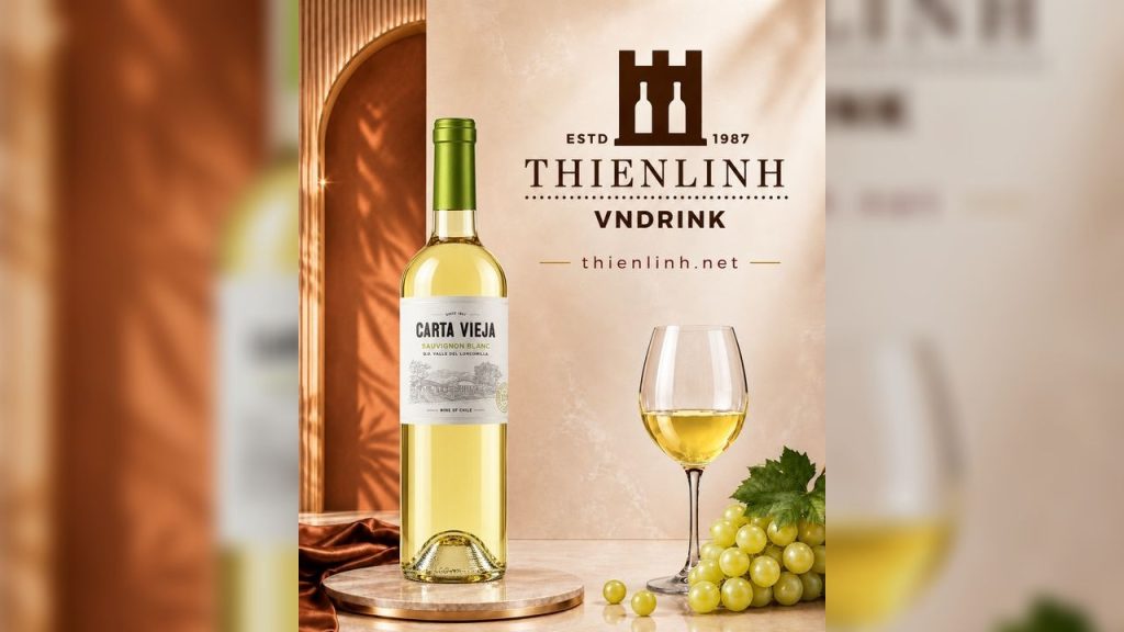 Carta Vieja Sauvignon Blanc – vang trắng Chile 13%, Loncomilla Valley, phong cách tươi sáng – Thiên Linh VNDrink