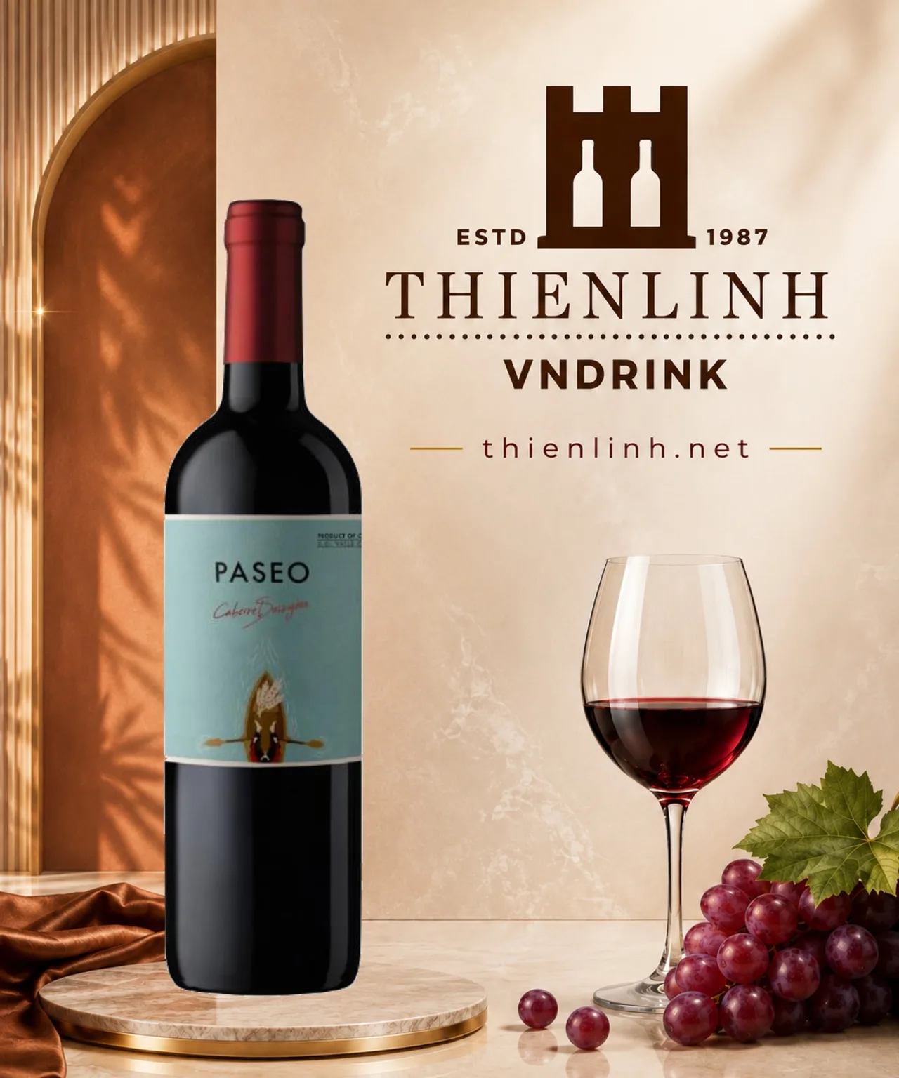 Chai rượu vang đỏ Paseo Cabernet Sauvignon, vang Chile 13,5% từ Central Valley – Thiên Linh VNDrink