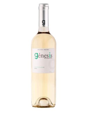 Chai rượu vang trắng Genesis Sauvignon Blanc, Maule Valley, Chile – Thiên Linh VNDrink