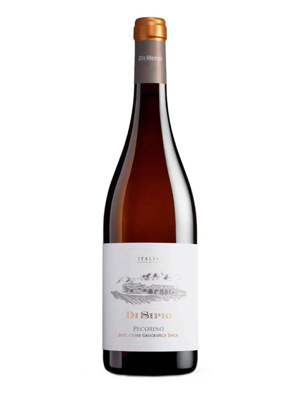 Rượu vang Di Sipio Pecorino IGT Terre di Chieti 2023