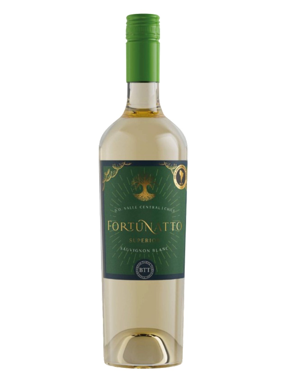 Chai rượu vang trắng Fortunatto Superior Sauvignon Blanc Central Valley 2024