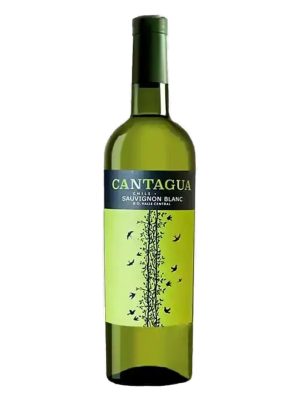 Chai rượu vang trắng Cantagua Sauvignon Blanc, nhãn xanh lá hình chim, nắp xanh đậm
