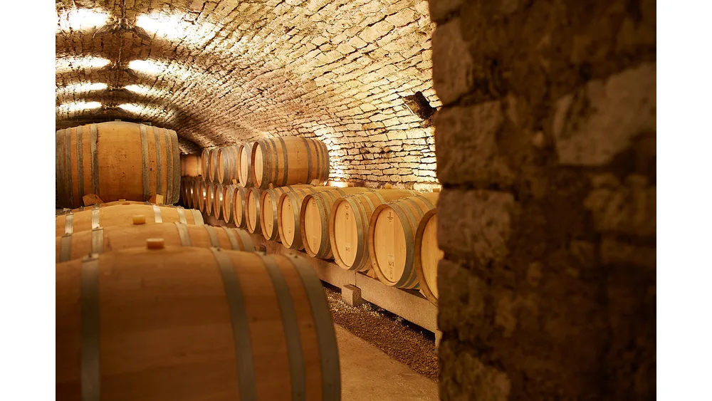 Hầm đá có vòm gạch với những thùng gỗ sồi xếp dọc tường dùng ủ rượu Chardonnay