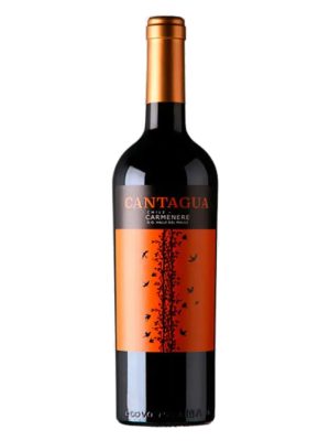 Chai rượu vang đỏ Cantagua Carmenere Central Valley Chile, nhãn cam họa tiết chim và cành nho, nắp đồng