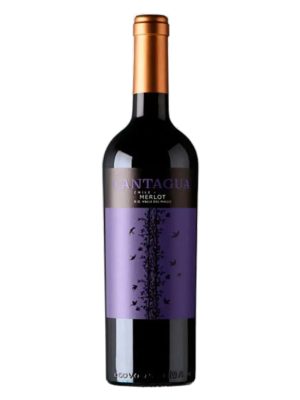 Chai rượu vang đỏ Cantagua Merlot Central Valley Chile, nhãn tím họa tiết chim và cành nho, nắp đồng